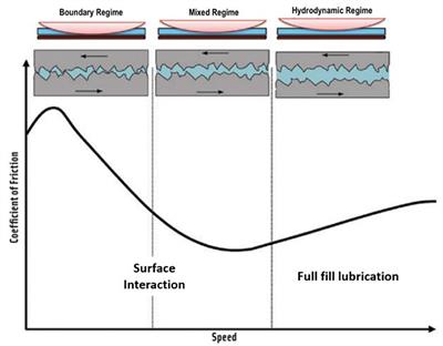 Soft Tribology and Its Relationship With the Sensory Perception in Dairy Products: A Review